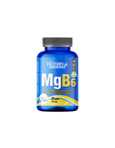 MAGNESIUM AND VITAMINS MGB6 90 CAPS