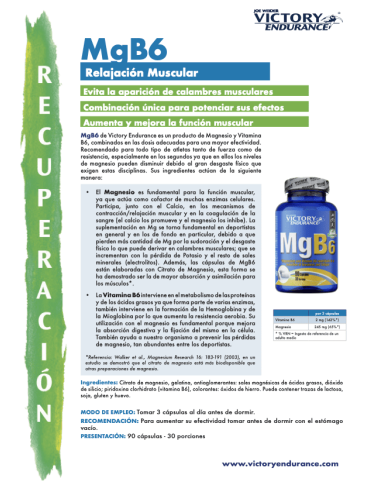 MAGNESIO Y VITAMINAS MGB6 90 CAPS