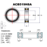 BEARINGS PREMIUM ACB519H8A Ø51.9X40X8X45X45 1-1/2 SCOTT