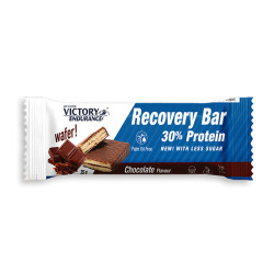 BARRITA RECOVERY 12X35GR