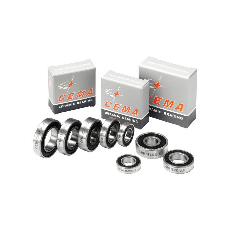 Ceramic bearing 6900 CEMA