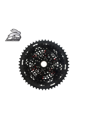 Cassete 12v 9-52T XD Hare Components