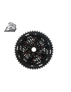Cassete 12v 9-50T XD Hare Components