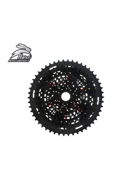 Cassete 12v 9-50T XD Hare Components