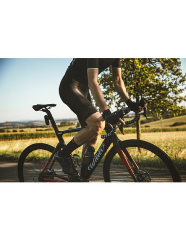  Calções FORCE GOLD