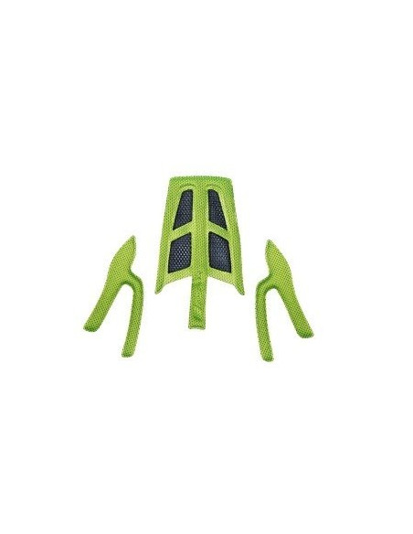 Esponja para FORCE RAPTOR VERDE