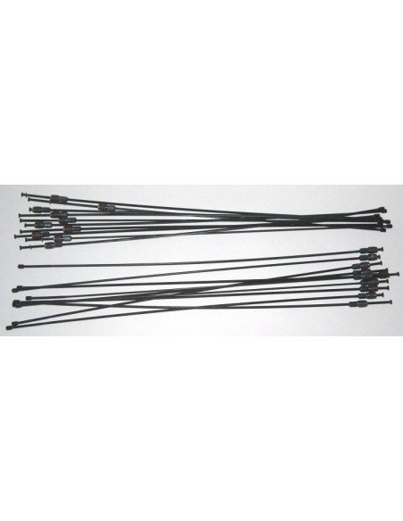 RAIO RODA FR R600 Y4BR98040 04038269