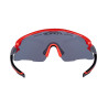 Sunglasses FORCE AMBIENT RED-GRAY