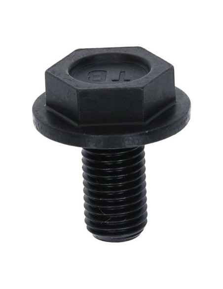 PARAFUSO FIX CRANK