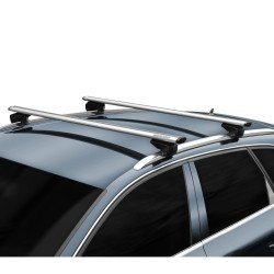 Roof Bars MENABO LEOPARD SILVER