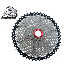 Hare Cassette 10v 11-42