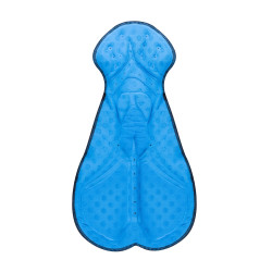 Pantalons F SHARD WINDSTER