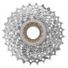 Thread-on freewheel HARE 8v 13-32t