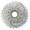 Thread-on freewheel HARE 8v 13-32t