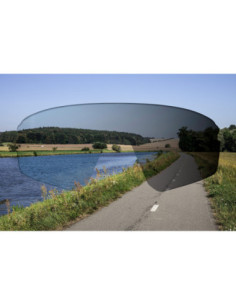 Lentes de substituição FORCE AMBIENT photochromic 2