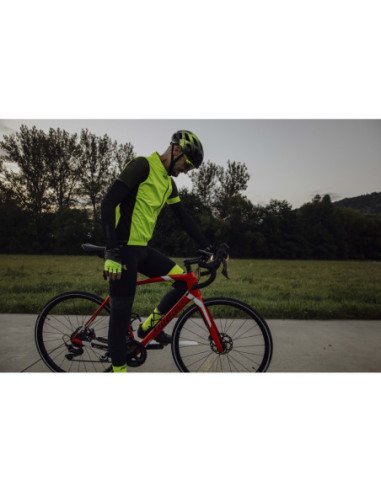  Óculos FORCE AMBIENT Fotocromáticos