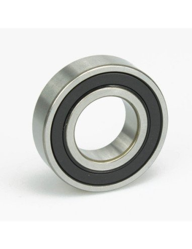 Rolamento Light 6900