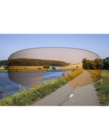 Sunglasses FORCE ELECTRA BLACK