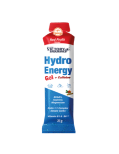GEL HIDRO ENERGY 70GR UNIDADE