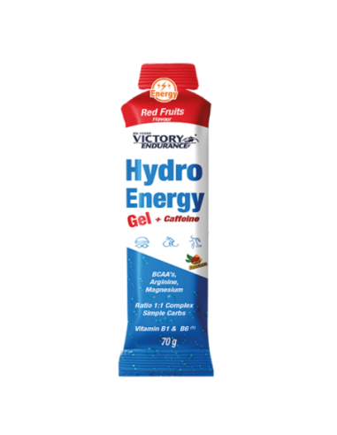 GEL HIDRO ENERGY 70GR UNIDADE