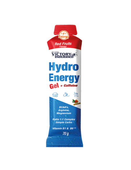 GEL HIDRO ENERGY 70GR UNIDADE
