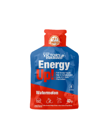  GEL ENERGY UP 40GR UNIDADE